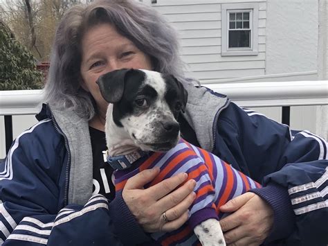 Quincy animal shelter - Oct 18, 2021 · The $7.1 million project was never approved and officials now say a shelter on that scale is unlikely. Quarry Street in West Quincy will be the location of the new shelter, near the city's first ... 